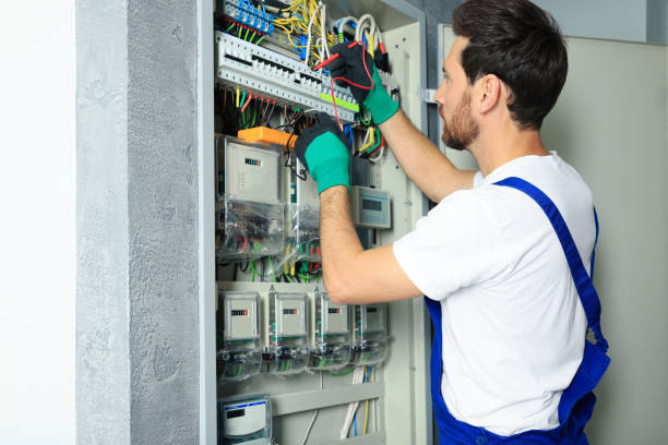 Best Electrical Repair Services  in La Harpe, IL
